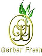 Gerber Fresh Logo